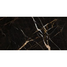 ELEMENTS LUX PORT LAURENT LAPPATO RET 60х120 (2A25) (плитка для підлоги і стін)
