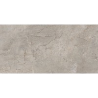 ELEMENTS LUX SILVER GREY SILKY RET 60х120 (2ASK) (плитка для підлоги і стін)