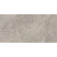 ELEMENTS LUX SILVER GREY SILKY RET 60х120 (2ASK) (плитка для підлоги і стін)