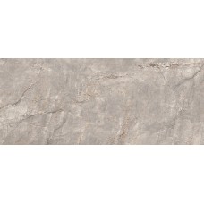 ELEMENTS LUX SILVER GREY SILKY RT 120х278 (2NA2) (плитка для підлоги і стін)