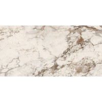 INTERNO4 BRECCIA TORTONA NATURAL R9 RET 60х120 (EBD1) (плитка для підлоги і стін)