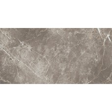ELEMENTS LUX PERSIAN GREY SILKY RET 60х120 (ECC2) (плитка для підлоги і стін)