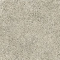DEEP COLORI ASH NAT RET 99653 80x80 (плитка для підлоги і стін)