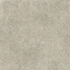 DEEP COLORI ASH NAT RET 99653 80x80 (плитка для підлоги і стін)
