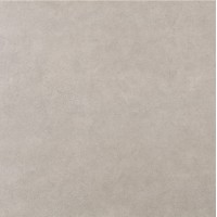 CELLER GRIS 60x60 (плитка для підлоги і стін)