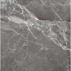 EARTHSTONE GRAPHITE 60x60 (плитка для підлоги і стін)