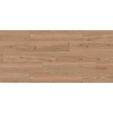 QUERCIA HONEY NAT+GLOSSY 24х120 (плитка для підлоги і стін) 00Y2C40