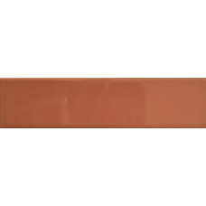 DUST TERRAE GLOSS 5х20 (плитка настінна) 03E5081