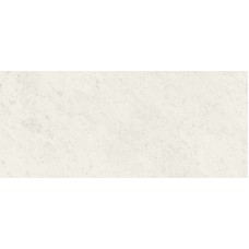 ROMA CARRARA SILK RT 120х278 (плитка для підлоги і стін)  fOV2