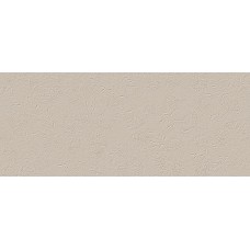 TRUE COLOR WIND FOSSIL MATT RT 50х120 декор (плитка настінна) fTD1