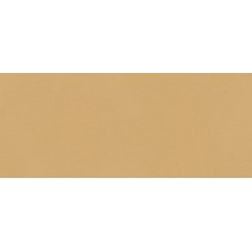 TRUE COLOR CARAMEL MATT RT 50х120 (плитка настінна) fTDS
