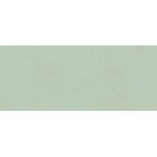 TRUE COLOR MATCHA MATT RT 50х120 (плитка настінна) fTDV