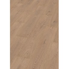 Roble FADO SOTAVENTO 339B Wood Impression 133.1х19.4 Finfloor Durable Evolve 4MV 33 кл 8 мм (ламінат)