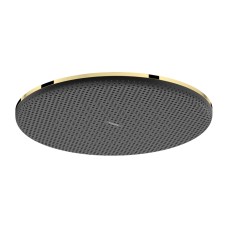 Верхній душ Raindance Alive S 300 1jet Polished Gold Optic (24520990)