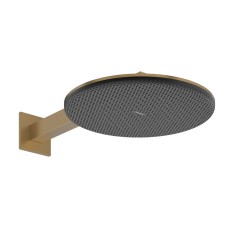 Верхній душ Raindance Alive S 300 2jet з тримачем Brushed Bronze (24540140)