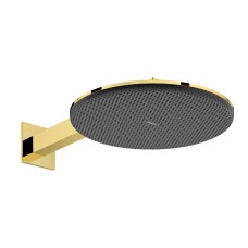 Верхній душ Raindance Alive S 300 2jet з тримачем Polished Gold Optic (24540990)