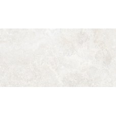 IMPERIAL TREVI NAT RET 60х120 (плитка для підлоги і стін) M109 (155002)