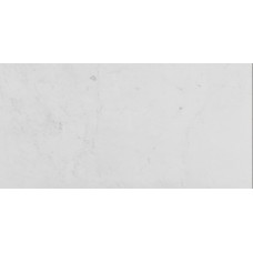 G260 PERSIAN WHITE CLASSICO 30x60x1.5cm (плитка для підлоги і стін)