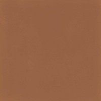 M1KU D_SEGNI COLORE TANGERINE 20х20 (плитка для підлоги і стін)