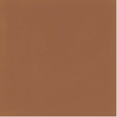 M1KU D_SEGNI COLORE TANGERINE 20х20 (плитка для підлоги і стін)