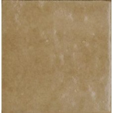 M5P2 ZELLIGE CAMMELLO 10х10 (плитка настінна)