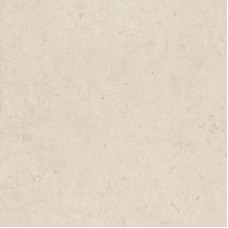 M97F CARACTER BLANCO RT 60х60 (плитка для підлоги і стін)