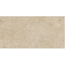 M97X CARACTER GREIGE STR RT 60х120 (плитка для підлоги і стін)