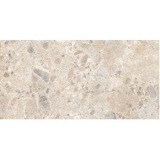 M97Z CARACTER MIX MULTICOLOR STR RT 60х120 (плитка для підлоги і стін)