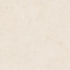 MDAS CARACTER BLANCO RT 100х100 (плитка для підлоги і стін)