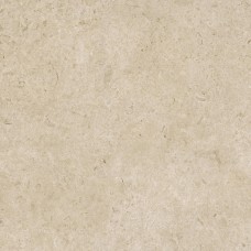 MDDS CARACTER GREIGE RT 100х100 (плитка для підлоги і стін)