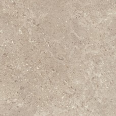 MLK9 MYSTONE GRIS FLEURY BEIGE RT 60х60 (плитка для підлоги і стін)