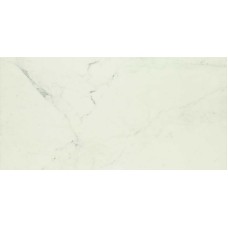 MMFC ALLMARBLE ALTISSIMO 60х120 RET (плитка для підлоги і стін)