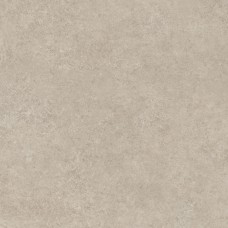 MP6H ROOM TAUPE RET 100х100 (плитка для підлоги і стін)
