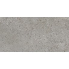 CAMPER GREY 60x120 (плитка для підлоги і стін)