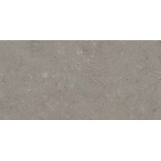 TOSCANA GREY 60x120 (плитка для підлоги і стін)