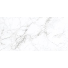 CALACATTA SILVER білий 60х120 matt AG0980 (плитка для підлоги і стін)