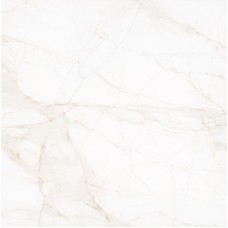 MARBLE DOLOMITA BLANCO PULIDO 120x120 (плитка для підлоги і стін)